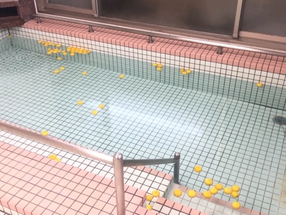 柚子風呂です