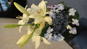 このお花は利用者様が育て、活けてくださいました.
他にもたくさんのお花を利用者様と一緒にお庭で育てております。
