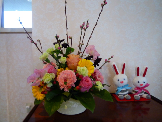 チョコレートコスモス