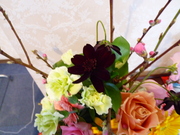 真ん中にあるのがチョコレートコスモスです。
