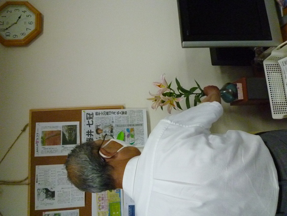 ハイブリットリリー