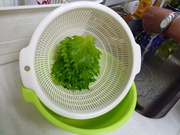 摘みたての大葉