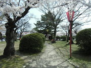 「お花見ツアー」に行ってきました！
