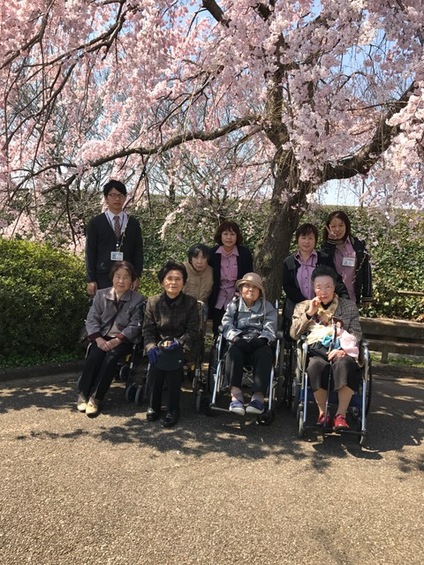 お花見に出掛けました。