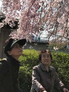 お花見に出掛けました。